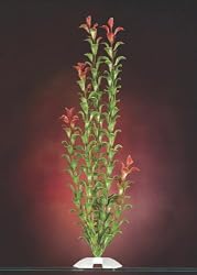 JW Pet Company Red Ludwigia 18 in XXLarge Aquarium Plant