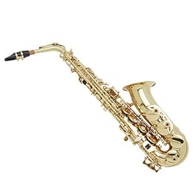 Hazelton E Flat Alto Gold Lacquer Saxophone with Case