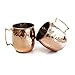 Moscow Mule Hammered Copper 18 Ounce Drinking Mug, Set of 2