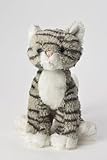 KooKeys Tiger Kitten