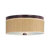 IMAGE OF ET2 Lighting E95102-101OI 3 Light Elements Fluorescent Flush