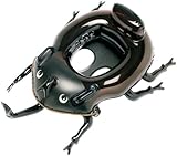 �x�r�[�{�[�g(�J�u�g���V) 75�~56cm