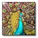 Colorful Peacock - 10x10 Wall Clock