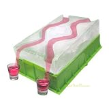 Lush Life Party Ice Luge
