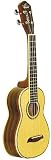 Washburn Rosewood Ukulele