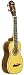 Musical Instruments : Washburn Rosewood Ukulele