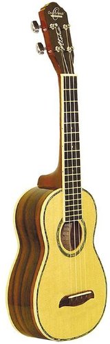 Childrens Toyshop  Musical Instruments : Washburn Rosewood Ukulele