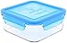Wean Green Wean Meal Cube Glass Food Containers, Blueberry, Single