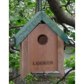 Looker Lifting Roof Wren House by Looker Inc
