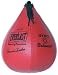 Sporting Goods : Everlast 4214 Leather Speed Bag (10"x7")