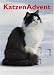 Suchen : KatzenAdvent 2008: Adventskalender mit 24 Türchen