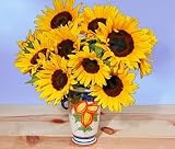 Sunflower Radiance with Tuscany Vase