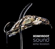 Sound Echo Location