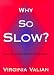 Books : Why So Slow?: The Advancement of Women