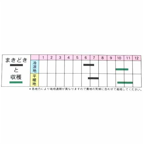 色のよい大粒　丹波大納言(一般種)　数量:100ml