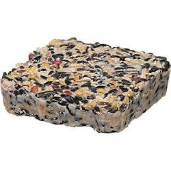 Morning Song 10-3/4-Ounce Birdwatchers' Blend Suet