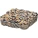 Morning Song 10-3/4-Ounce Birdwatchers' Blend Suet