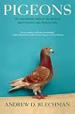 Pigeons: The Fascinating Saga of the World s Most Revered and Reviled Bird