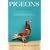 Pigeons: The Fascinating Saga of the World's Most Revered and Reviled