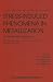 Stress-Induced Phenomena in Metallization: Third International Workshop (AIP Conferen...