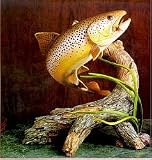 Hand-painted Brown Trout Figurine "Morning Brown"
