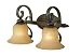 Golden Lighting 7116-ba2 Lc Leather Crackle Mayfair Traditional / Classic Two Light Bathroom Fixture From The Mayfair Collection