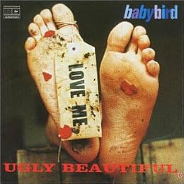 Babybird Picture 6