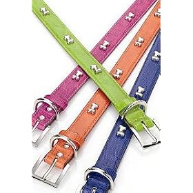Amberhill Flower Power Bone Studded Collars - Lime - 8" x 5/8"