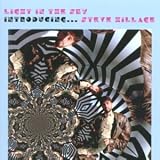 Light In The Sky: Introducing ... Steve Hillage
