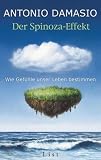 Der Spinoza-Effekt: Wie Gef&uuml;hle unser Leben bestimmen - Antonio R. Damasio