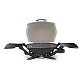 Weber 53060001 Q2000 Liquid Propane Grill