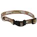 Pittsburgh Pirates Adjustable Dog Collar