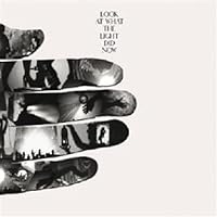 Look at What the Light Did Now  (2010)