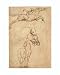 Art Poster Print - Sketch of a Horse - Artist: Leonardo Da Vinci - Poster Size: 16 X 20 inches
