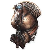 Wild Turkey Coat Hook