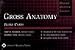 BRS Gross Anatomy Flash Cards Card Deck 254 Cards