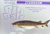 STURGEON FISH LAPEL PIN