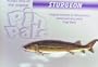 STURGEON FISH LAPEL PIN