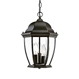 Acclaim 5036BK Wexford Collection 3-Light Outdoor Light Fixture Hanging Lantern, Matte Black [並行輸入品]