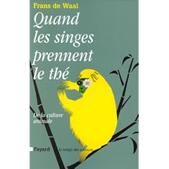 Quand les singes prennent le th�