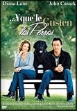 Y Que Le Gusten Los Perros(2005) Must Love Dogs