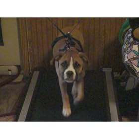 Merit 725t Treadmill