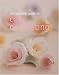 The Essential Guide to Cake Decorating