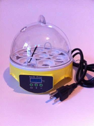 Digital Hatching Eggs Digital Mini Incubator... 2012 new model