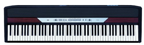 Korg SP-250 Portable Digital Piano product image