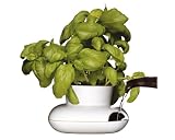 Kitchen & Housewares : Sagaform Herb Pot
