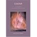 Colour: A Textbook for Anthroposophical Painting Groups