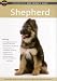 Houndstar's New Owner's Guide To The German Shepherd [DVD]