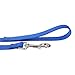 ITERY Dog Leash Pet Durable Leash Strap for Puppy Pet Leash Rope 6-feet Long 1” Wide (Blue)