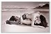 Passion (Kissing On Beach) 36"x24" Art Print Poster Passion (Kissing On Beach) 36"x24" Art Print Poster